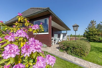 De lütte Mööv