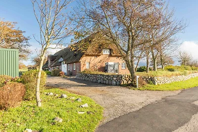 Schipp Landen Elsabea