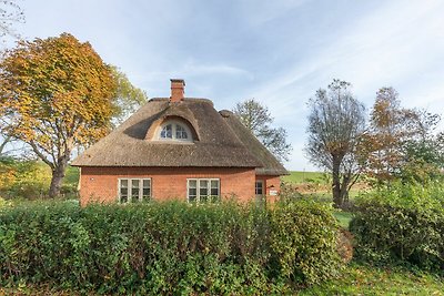 Vakantiehuis Ontspannende vakantie Tetenbüll