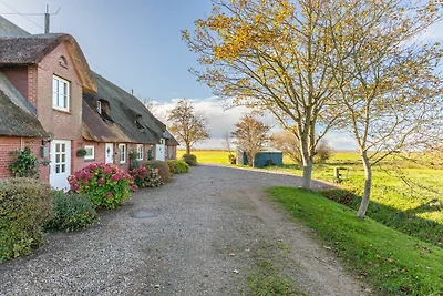 Schipp Landen Elsabea