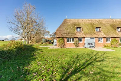 Schipp Landen Johanna