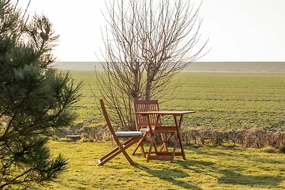 Deichblick