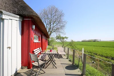 Casa vacanze Vacanza di relax Koldenbüttel