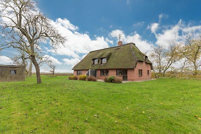 Vakantieappartement Gezinsvakantie Nordstrand