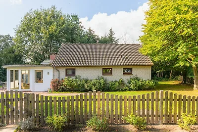 Vakantiehuis Ontspannende vakantie Enge-Sande