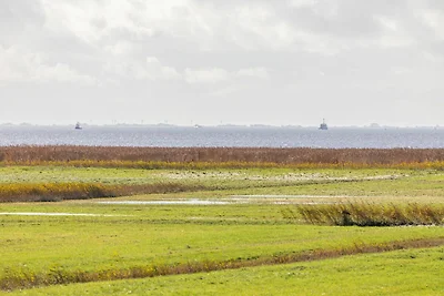 Schipp Landen Johanna