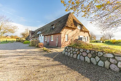 Schipp Landen Johanna