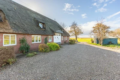 Schipp Landen Elsabea