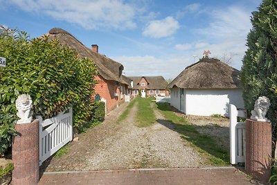 Vakantiehuis Ontspannende vakantie Risum-Lindholm