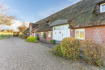 Schipp Landen Elsabea