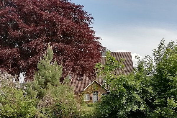 Ferienwohnung Hohwacht