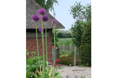 Cottage con tetto di paglia al Geltinger Birk