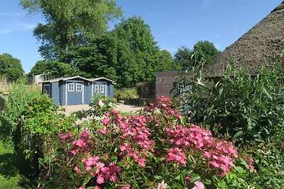 Domek pod strzechą w Geltinger Birk