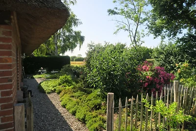 Domek pod strzechą w Geltinger Birk