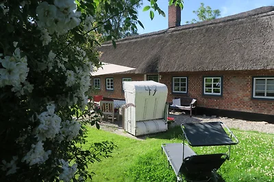 Domek pod strzechą w Geltinger Birk