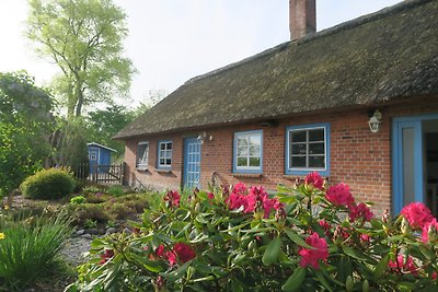 Thatched Roof Cottage at the Geltinger Birk