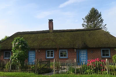 Cottage con tetto di paglia al Geltinger Birk
