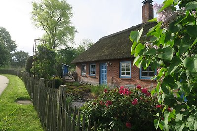 Thatched Roof Cottage at the Geltinger Birk