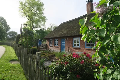 Cottage con tetto di paglia al Geltinger Birk