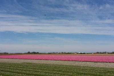Rust aan de Kust