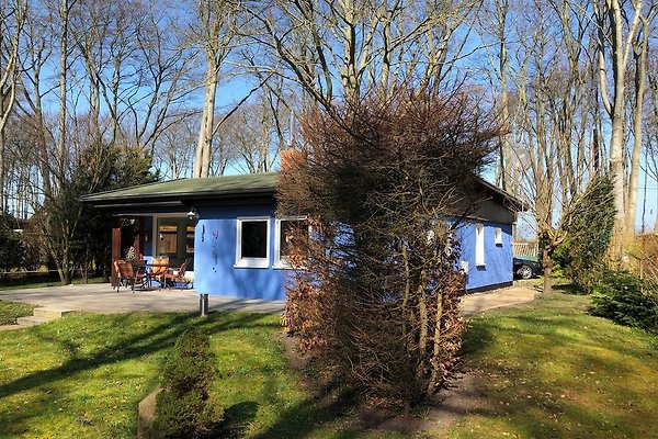 Ferienhaus Graal-Müritz