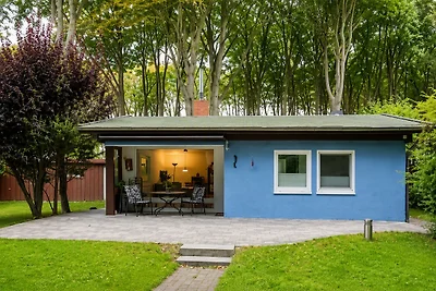 Ferienhaus am Strand im Küstenwald