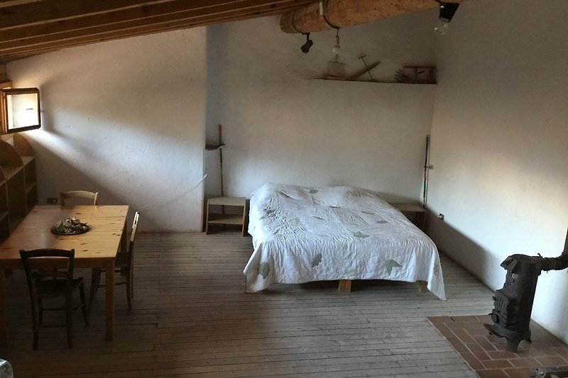 Wohn/Sclafzimmer mit Dachterasse 
