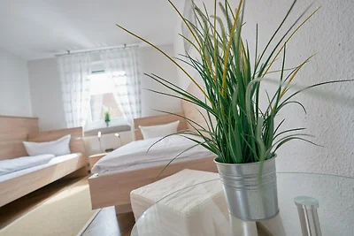 Haus Möller FEWO Möwe