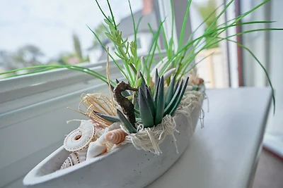 Haus Möller FEWO Möwe