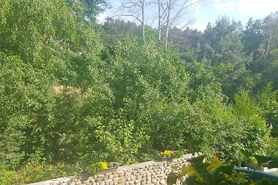 Vivere sul Graben