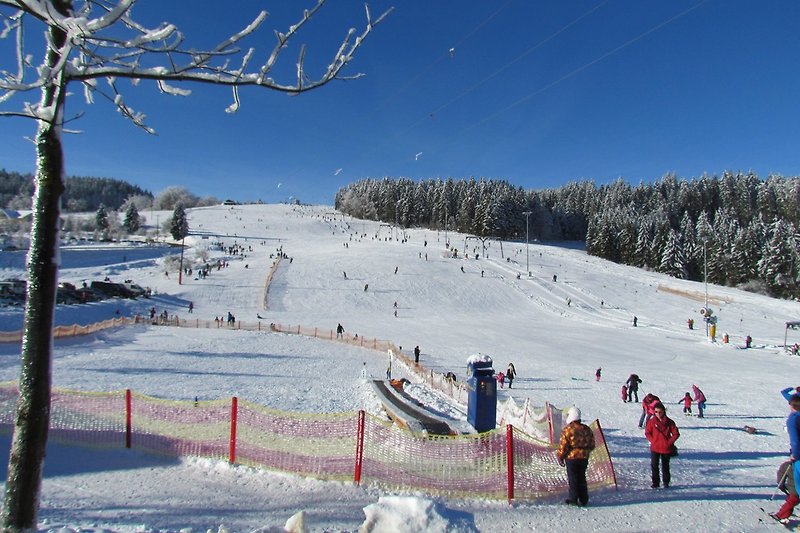 Skifahren am Pröllerdreieck 