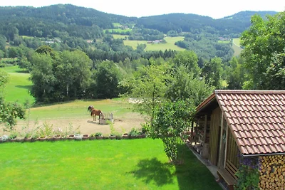 casa di campagna 4 stelle Sonnenschein 1