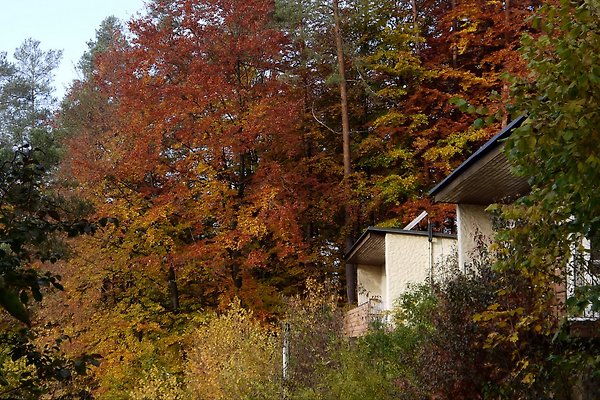 Ferienhaus Obertrubach