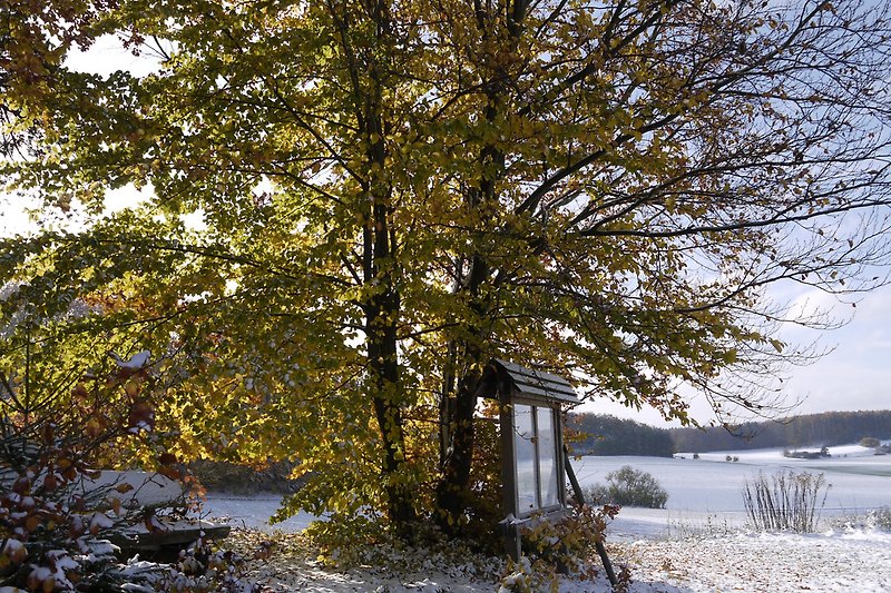 Oktober-Wetterüberraschung in Hiltpoltstein