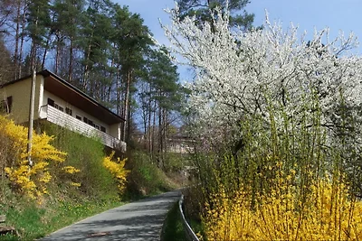 AmSonnhang - Casa Leone XIII