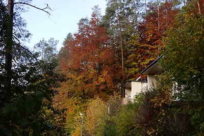 Casa de vacaciones Vacaciones de reposo Obertrubach