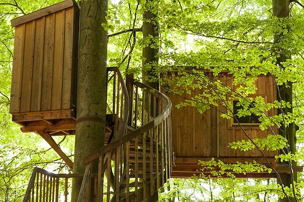 Treehouse Solling Gbr In Uslar Company Baumhaushotel Solling