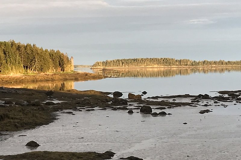 Abendsonne auf unserer Bucht