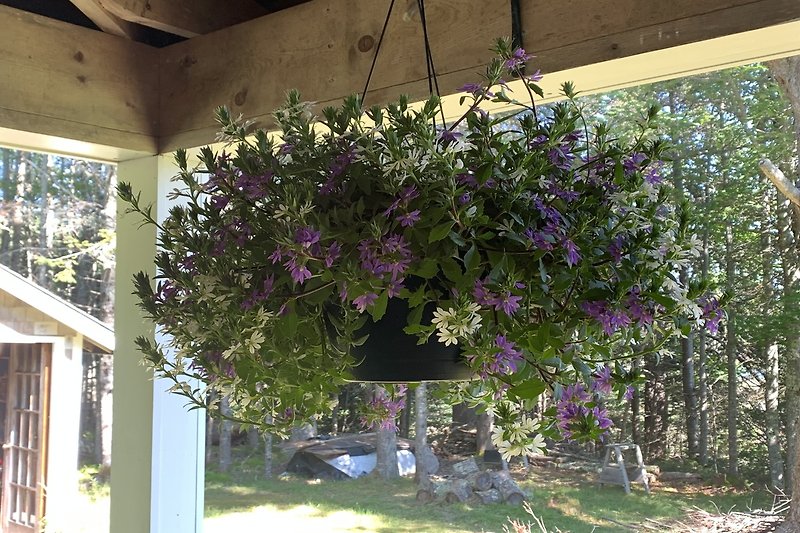 Porch Botanic