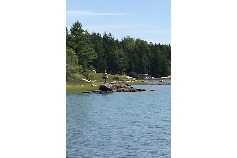 High Tide