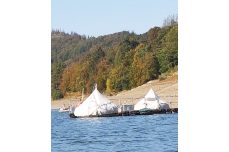 Die Grillboote am Diemelsee ...