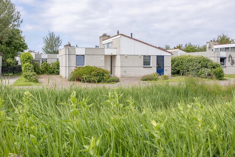 Grüner Garten mit Rasen, Pflanzen und ländlicher Umgebung.