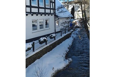 Ferienhaus "Haus am Medebach"