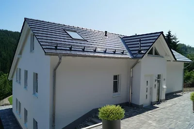 Appartamento Vacanza con famiglia Willingen