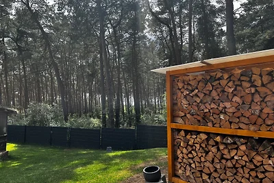 Kiefernblick
