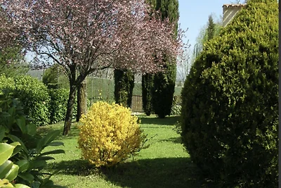 Haute-Provence