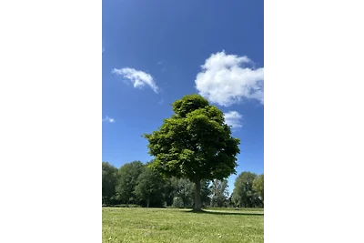 Urban Oasis