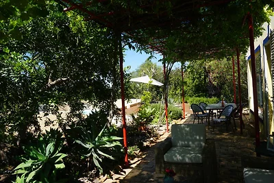 Villa Flor da Agave
