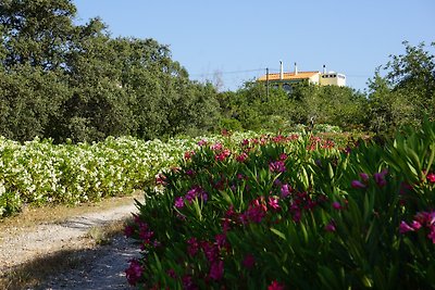 Villa Flor da Agave