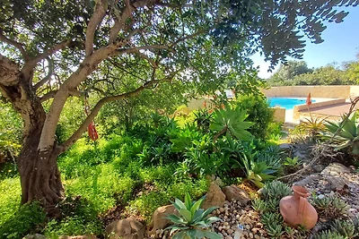 Villa Flor da Agave
